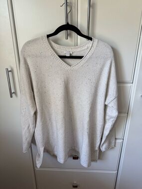 J. Jill Men's Speckled Cream V-Neck Sweater